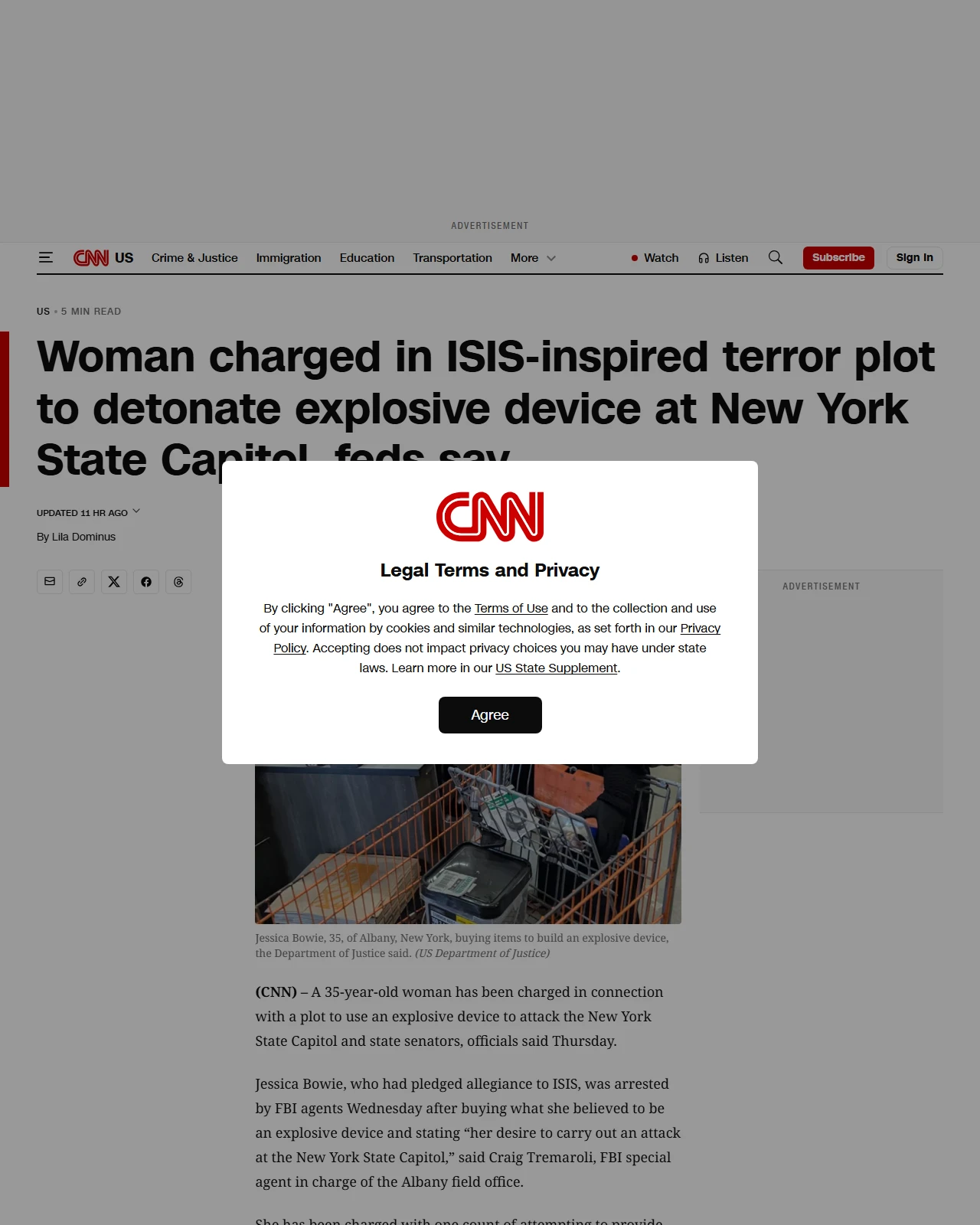 cnn.com as published: Woman charged in ISIS-inspired terror plot to detonate explosive device at New York State Capitol, feds say