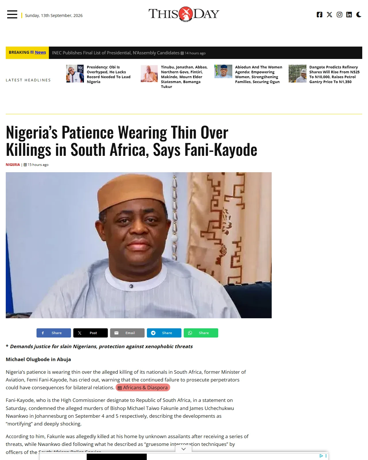 thisdaylive.com as published: Nigeria’s Patience Wearing Thin Over Killings in South Africa, Says Fani-Kayode